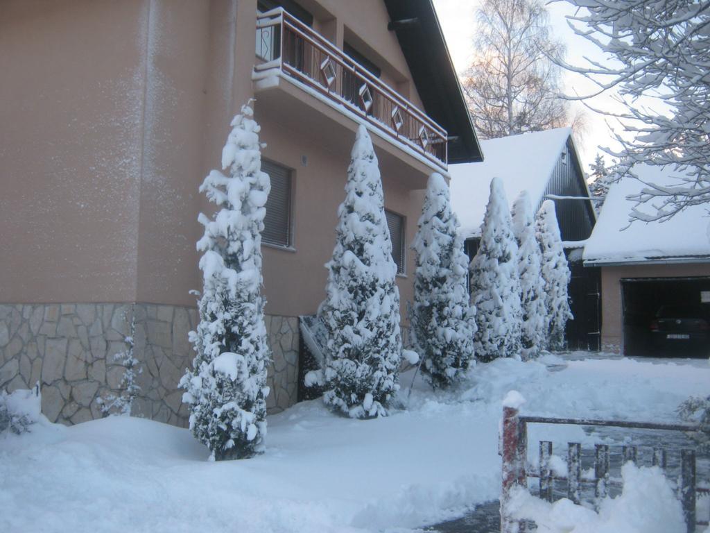 House Pribic Hotell Vrelo Koreničko Exteriör bild
